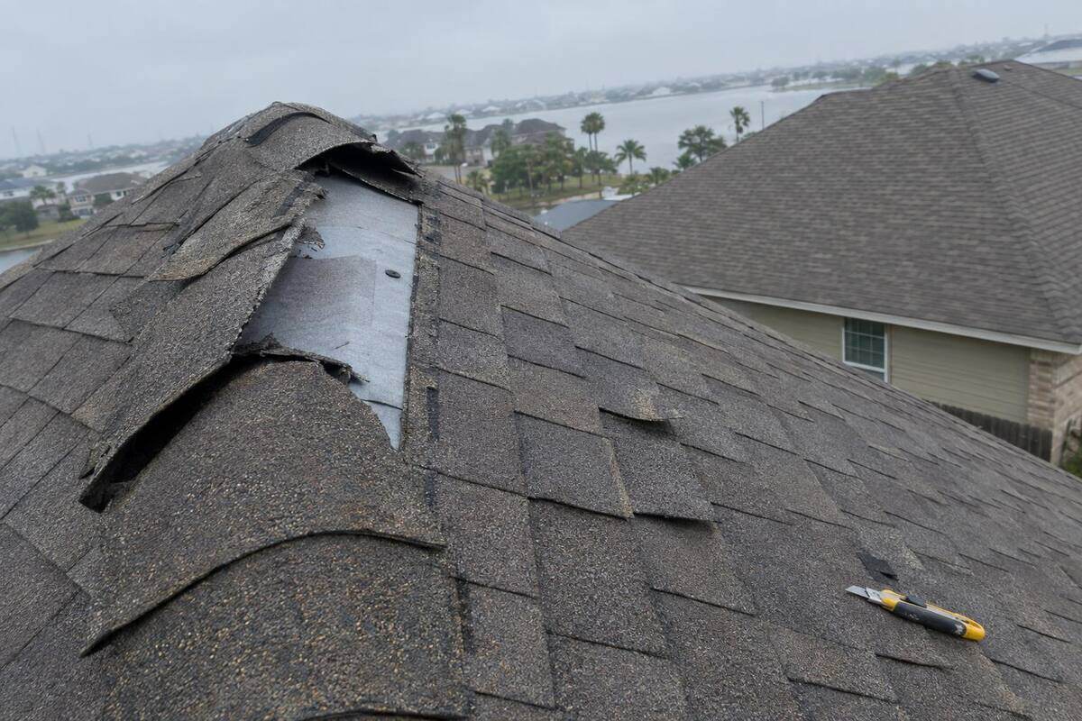 Ridge cap shingles lifted and torn along the peak of a two-story composition shingle roof, with a missing piece exposing the underlayment